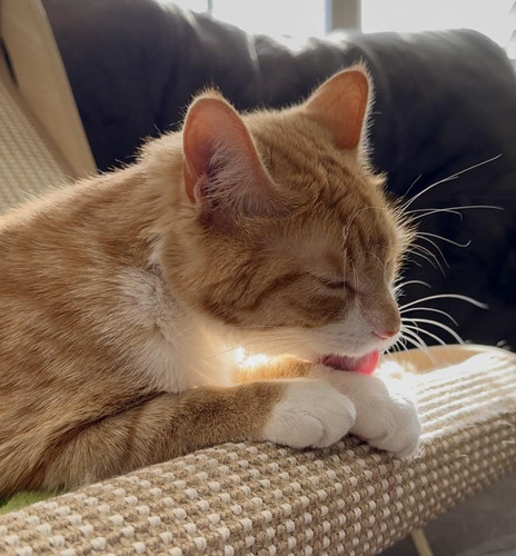 490476390 652356681115378 251444415567831064 n.jpg