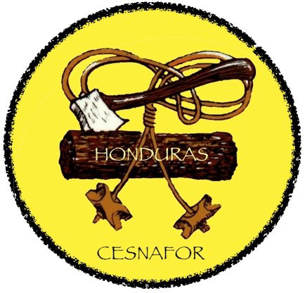 417367 127815757347014 1179085106 n.jpg