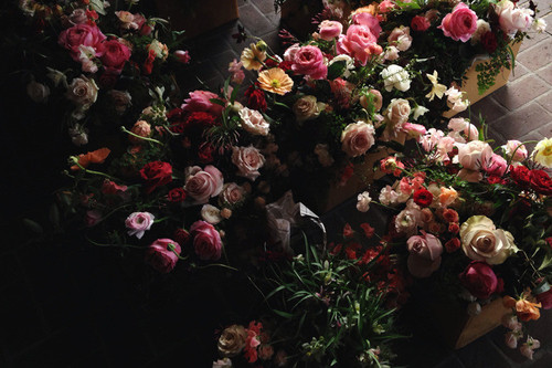 tumblr 7880fde760970fe298cf6eeb7eab7701 54337457 1280.jpg