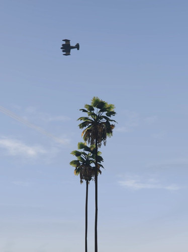 palmeras del cel.jpg