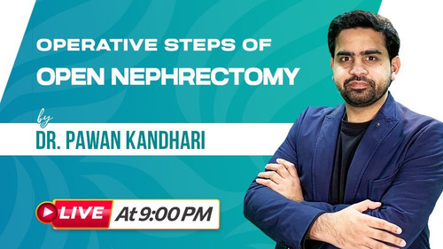 WhatsApp Image 2025 04 14 at 10.40.17 AM.jpg