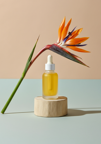 visualelectric 1742281413657.png