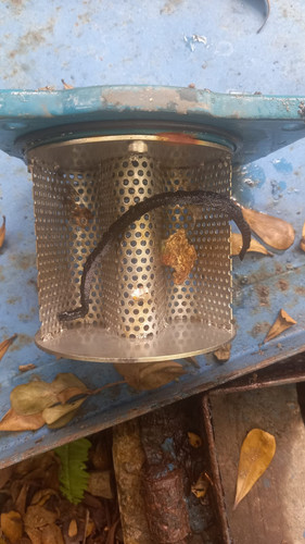 WhatsApp Image 2025 04 14 at 13.23.43.jpg