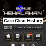 Clear history Cobra33 II.gif