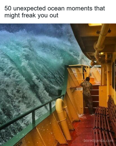 65f07bfc ea8d 419c a79f 6699d90f94d0.png