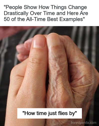 7f3e4440 26df 4283 b052 528cdc4f8c10.png