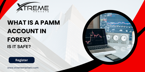 What is a PAMM Account in Forex.png