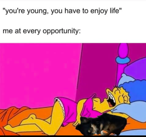 girly meme 82 480.png