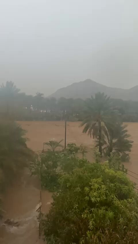 24IsAAQminFqVNla.jpg