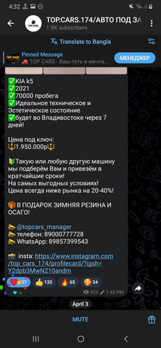 Screenshot 20250414 163254 Nekogram.jpg