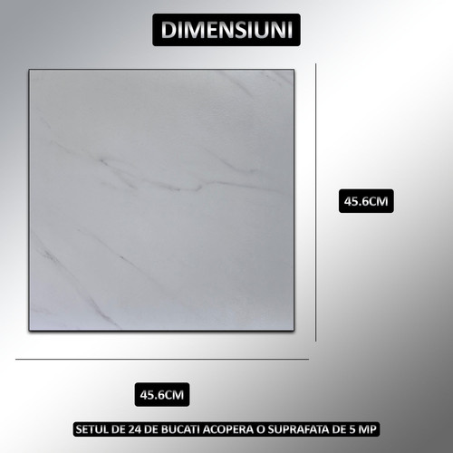 dimensiuni 2 9 copy.jpg