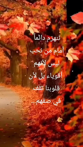 Iu 1thb wfi0xAH .jpg