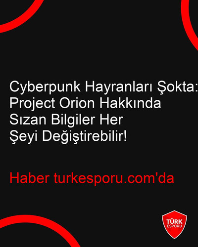 turkesporu post.jpg