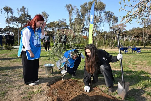 490803570 1232257641597709 5763298454969444141 n.jpg?stp=dst jpg p526x395 tt6& nc cat=110&ccb=1 7& n.jpg