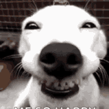 received 948771135765063.gif