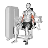 43361301 Lever Biceps Curl Upper Arms 360.webp