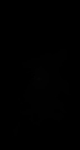 C5DYArhbwYJFilXM.jpg