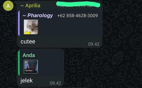 undefined.jpg