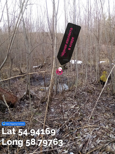 IMG 20250413 202759.jpg