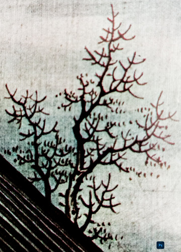 PSX 20250413 183907.jpg