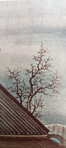 IMG 20250413 182356.jpg