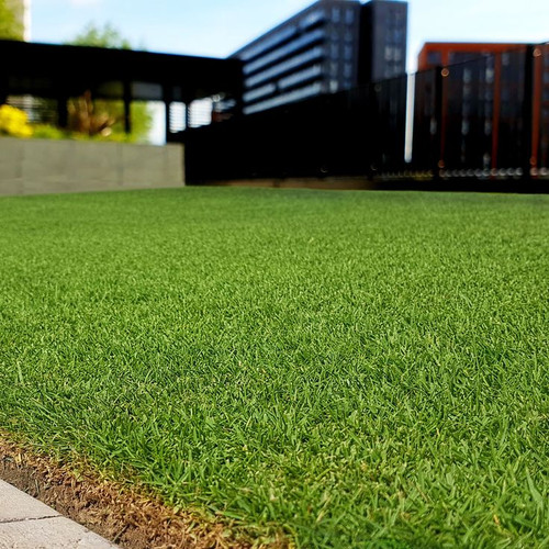 Rescape Seashore Paspalum Lawn Grass Seed.jpg