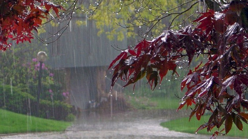 490676500 995946872517969 5016620040033269957 n.jpg? nc cat=109&ccb=1 7& nc sid=127cfc& nc ohc=1bYrl.jpg