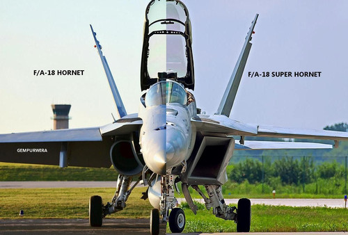 The Difference Between F 18 Hornet and F 18 Super Hornet