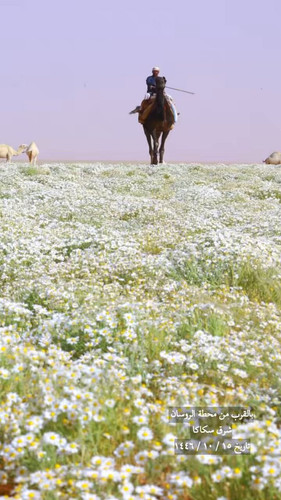 I6cc RZVXfBoo 8B.jpg