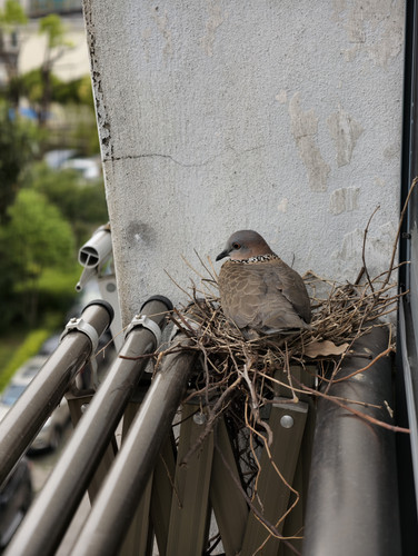 IMG 20250412 163020.jpg