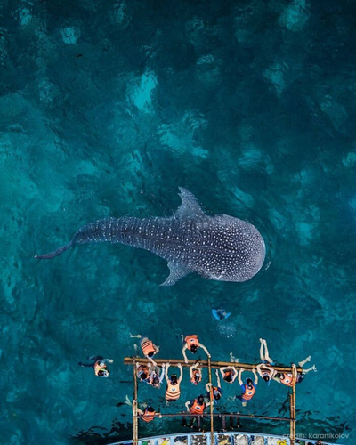 cefc69bf 2327 4538 83aa 18963297832a.png