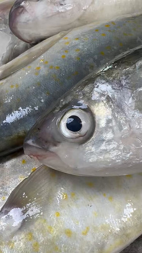 0G 9HMo74GSYZmM .jpg