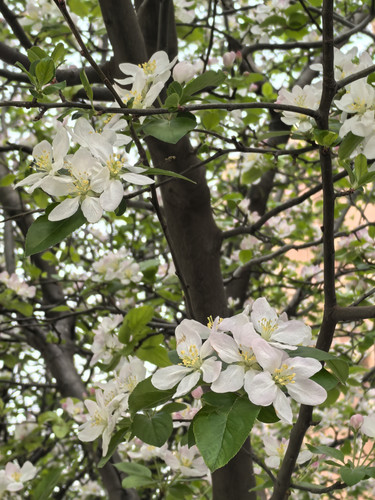 IMG 20250325 124458.jpg