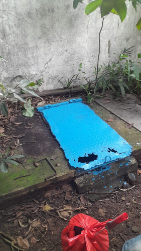 WhatsApp Image 2025 03 19 at 14.50.46.jpg