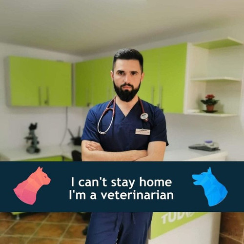 5951633845784786904 99.jpg