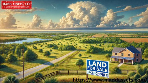 Image 2025 04 14T120403.664.jpg