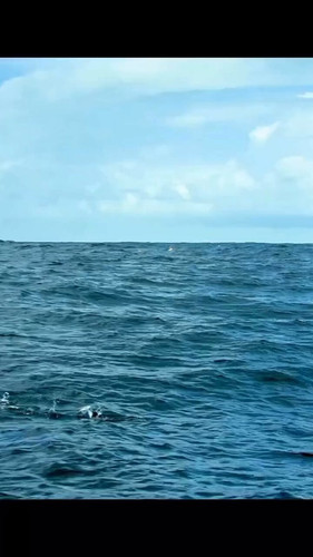 lYoK 83ox G4gCDj.jpg