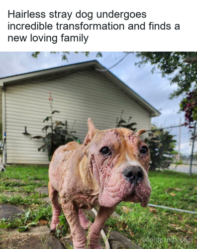 b222513f 97e2 4e8d 8f7f 200dc53965ee.png