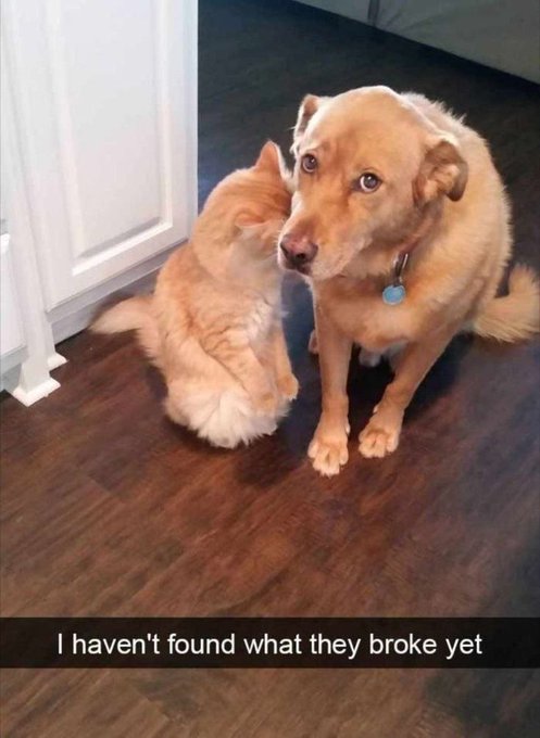 slack imgs.jpg