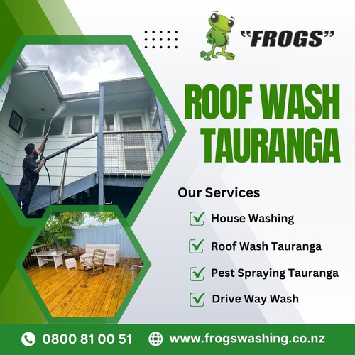 roof wash Tauranga.jpg