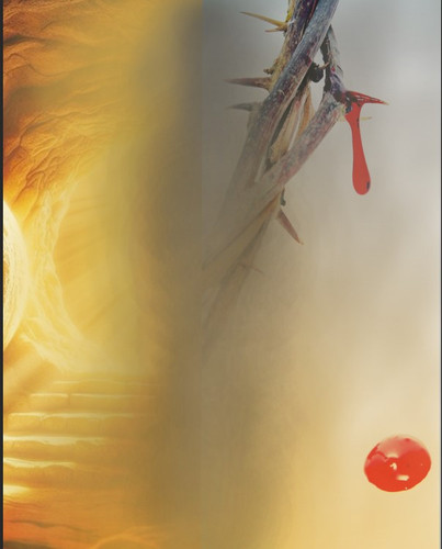 Screenshot 6.jpg