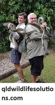 Cairns Snake Catcher.jpg
