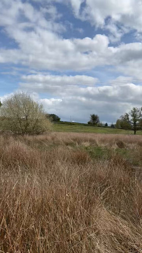 uZ WCYgm7nZ2pmjZ.jpg