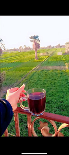 Screenshot ٢٠٢٥ ٠٤ ١٣ ١٢ ٣٢ ٥٥ ٨٦٩ org.telegram.messenger.jpg