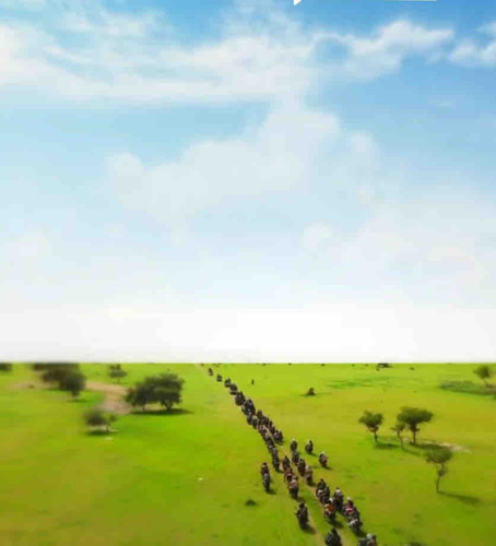 E8D0A696 1D45 4A18 8B8D 1C6BBDC0088E.jpg