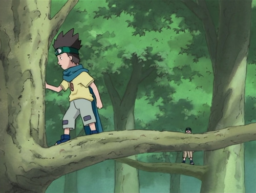 [TOONWORLD4ALL] [SCREENSHOT] Naruto S01E21 [00:11:47].jpg