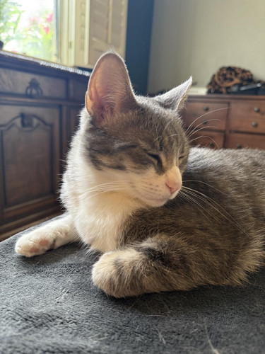 490545601 1230011255361239 7690513139755909441 n.jpg