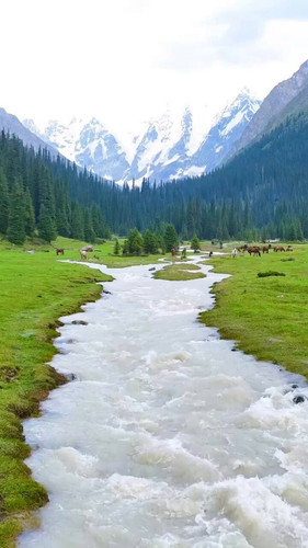 1ccUuLFJD1Q jqAz.jpg