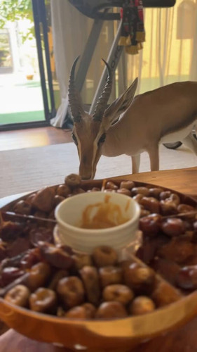 zZMOs4ECBN5LP ww.jpg