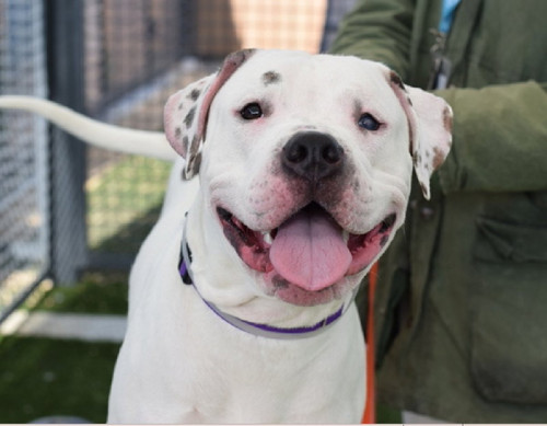 GoC9bizbwAA5 3g?format=jpg.jpg